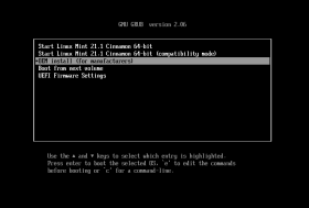 Bootmenü des Installationsmediums