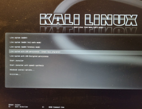 Screenshot: im Menü unbedingt „… with USB persistence“ auswählen